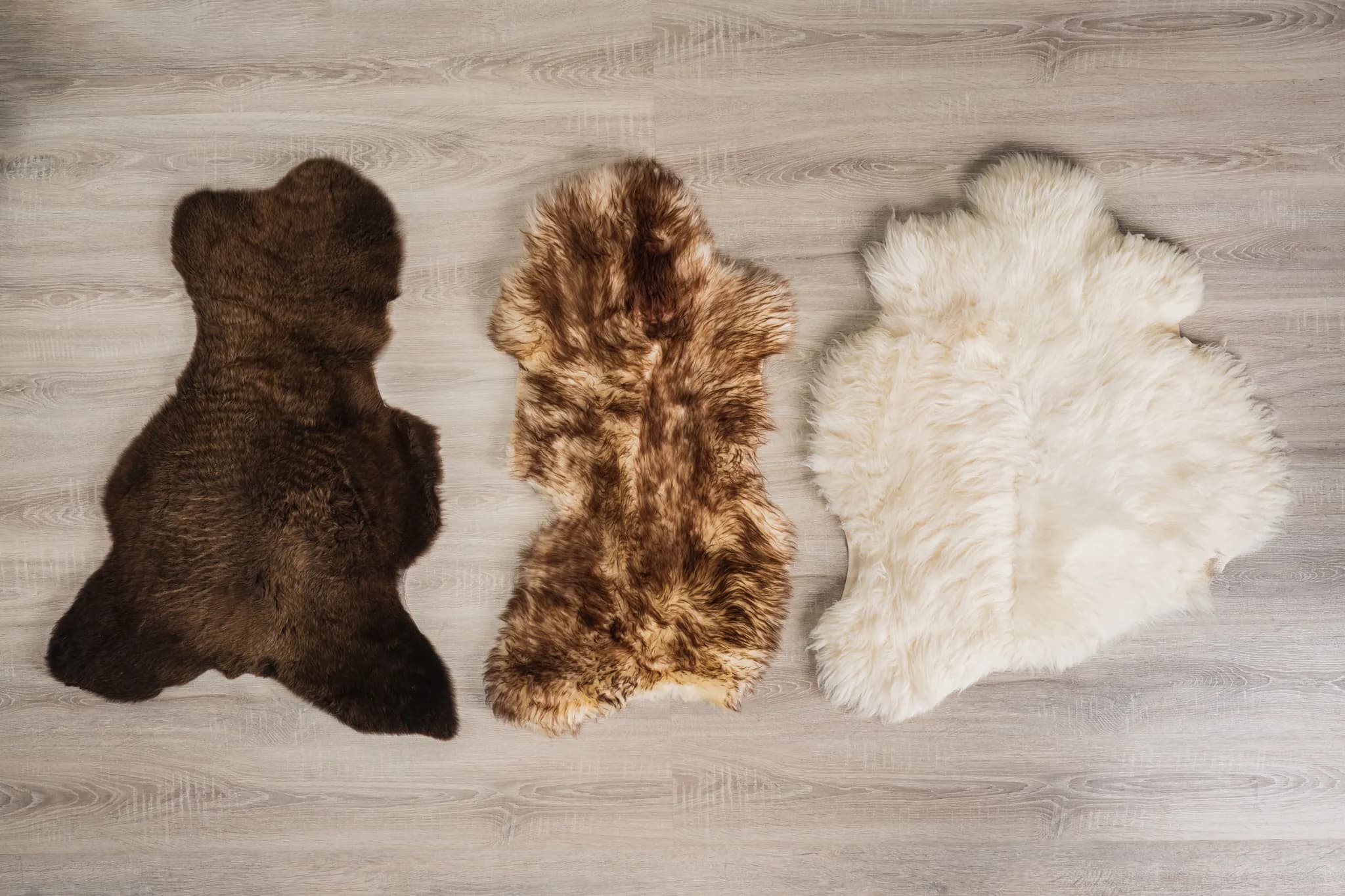 Broken sheepskin